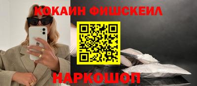 крисы Кингисепп