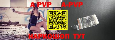 крисы Кингисепп