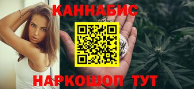 крисы Кингисепп