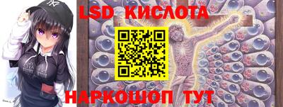 крисы Кингисепп