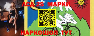 крисы Кингисепп