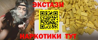 крисы Кингисепп