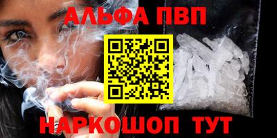 крисы Кингисепп