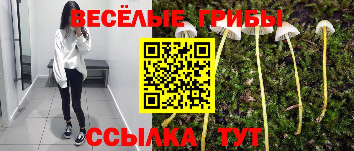 Галлюциногенные грибы MAGIC MUSHROOMS  Вход с VPN  Коммунар 