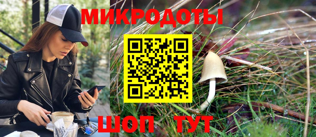 Псилоцибиновые грибы Psilocybe Коммунар